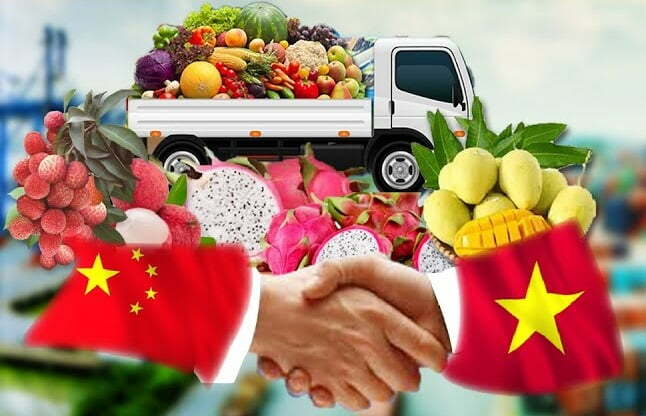 hop-tac-hoi-cho-viet-trung-2022 hop-tac-hoi-cho-viet-trung-2022